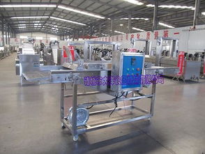 【大洋生產(chǎn)雞排掛漿機(jī)品牌/圖片/價格_上漿機(jī)詳細(xì)參數(shù)】- 